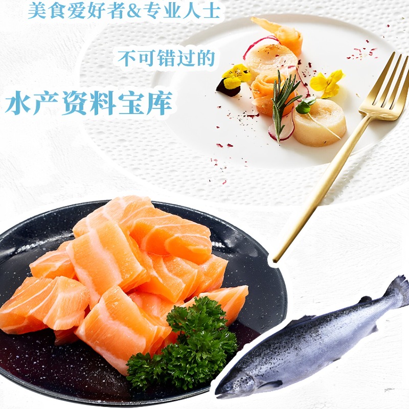 Seafood Cookbook DK 300 Classi - Home Cooking Recipes review and price